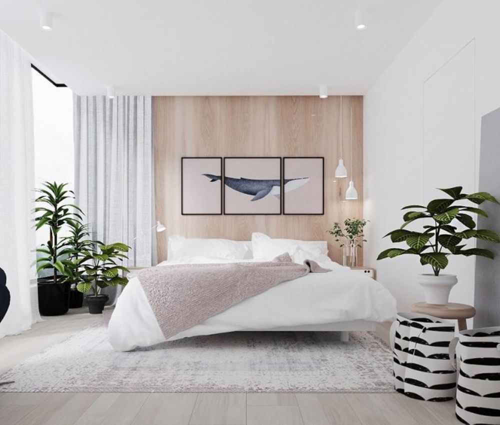 Đặt châu cây xanh cân bằng năng lượng
