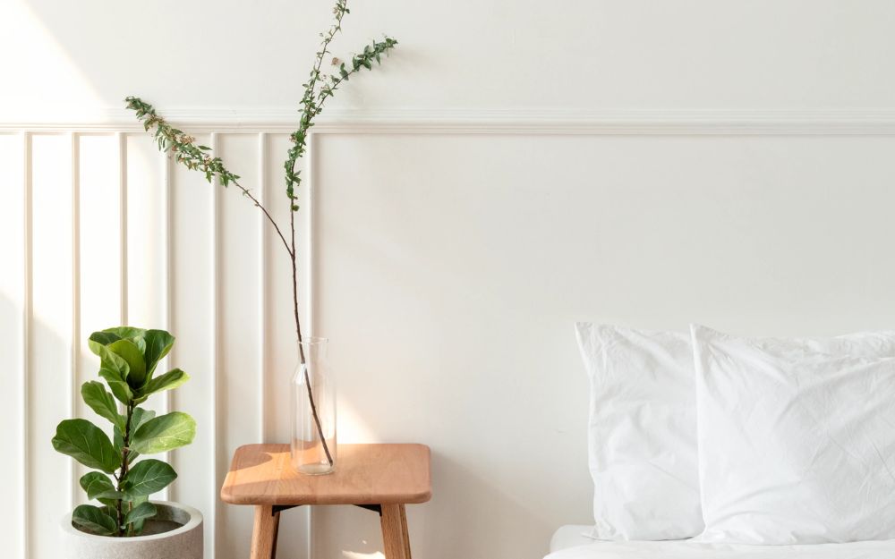 Decor cây xanh trong phòng ngủ