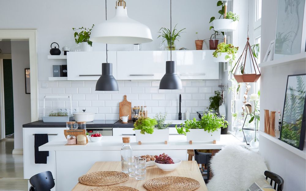 Decor cây xanh trong khu vực bếp