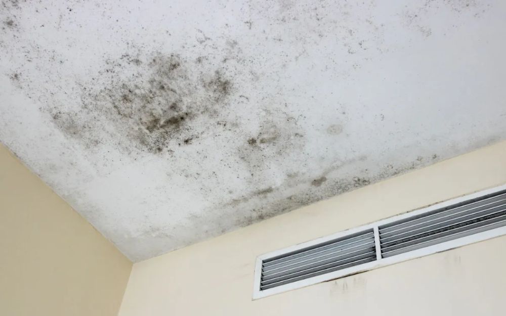 Tường bị mốc làm giảm giá trị sử dụng của công trình