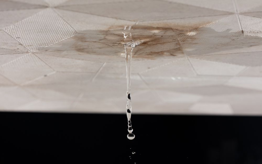 Thấm dột từ mái nhà gây mốc tường nhà