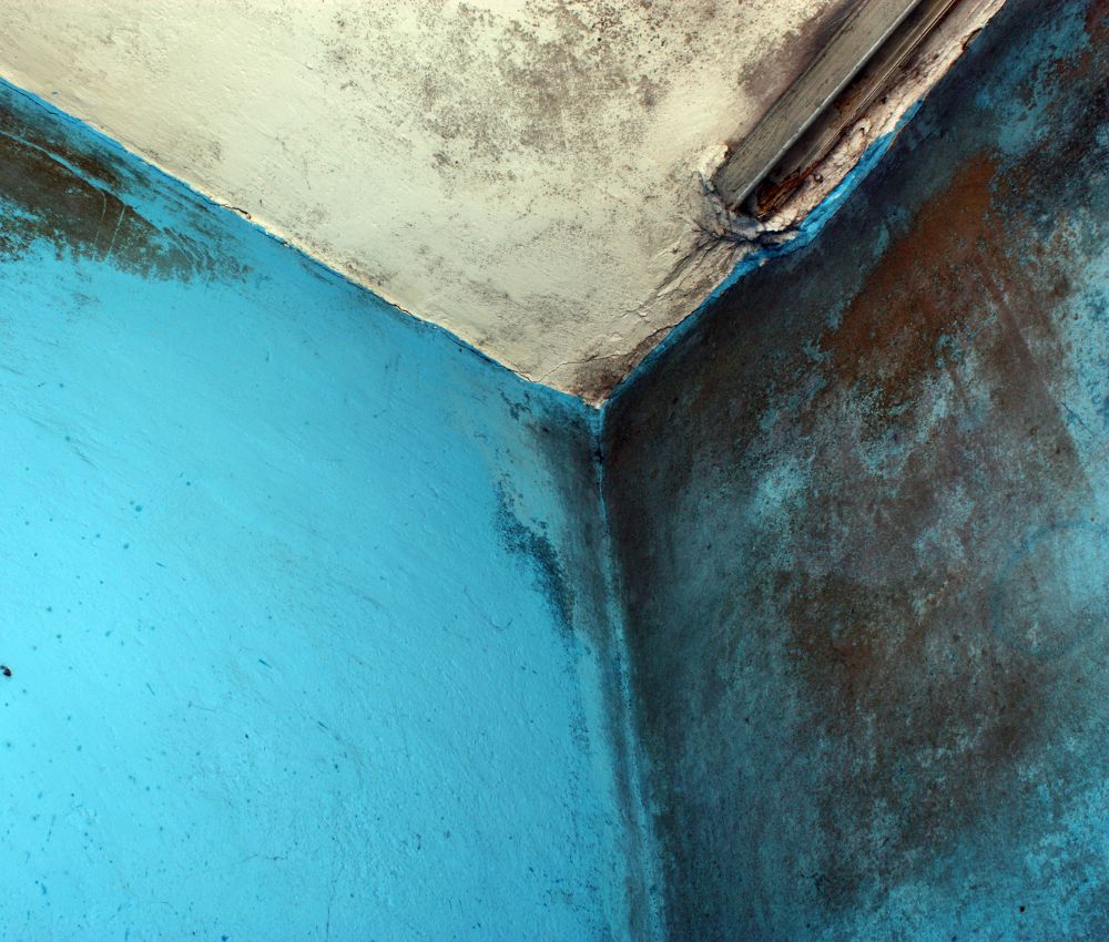 Thi công không đúng kỹ thuật gây mốc tường nhà