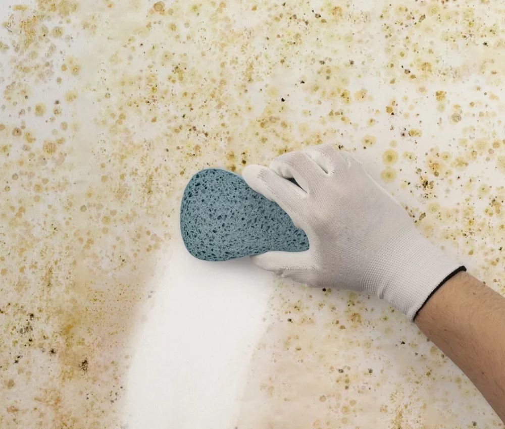 Chà sạch các vết mốc còn bám trên bề mặt