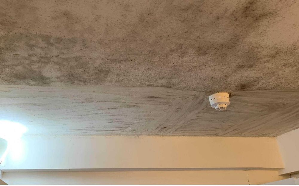 Các không gian kín, ít cửa sổ là nơi dễ bị mốc