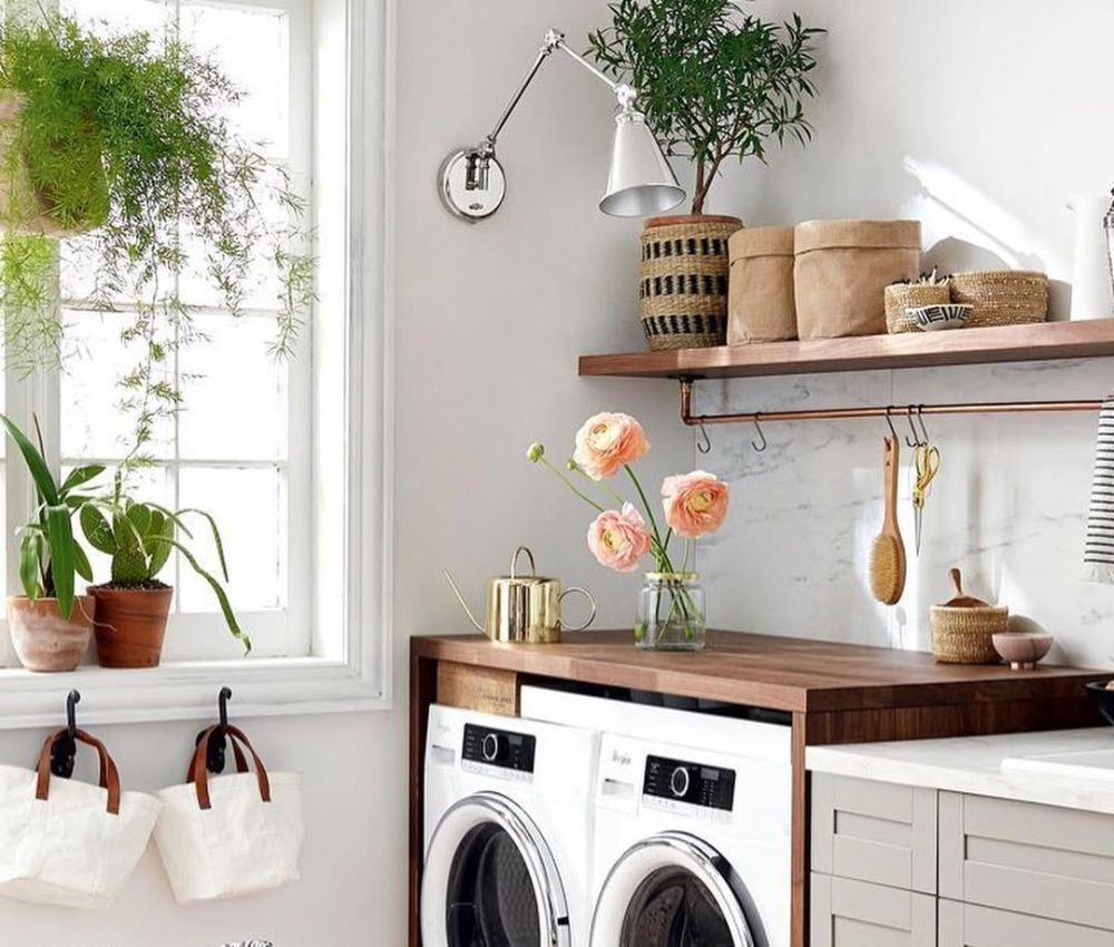 Đặt cây trầu bà ở khu vực trung gian hoặc gần phòng giặt