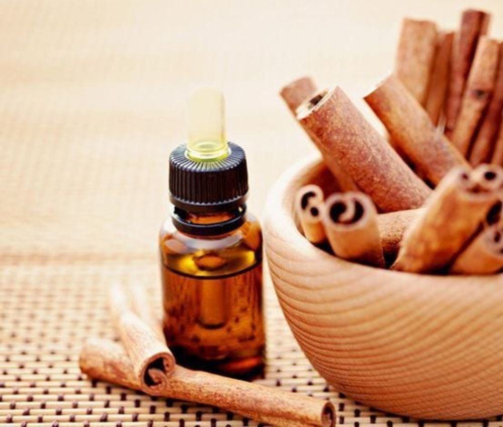 Sử dụng tinh dầu quế để duy trì không gian trong lành