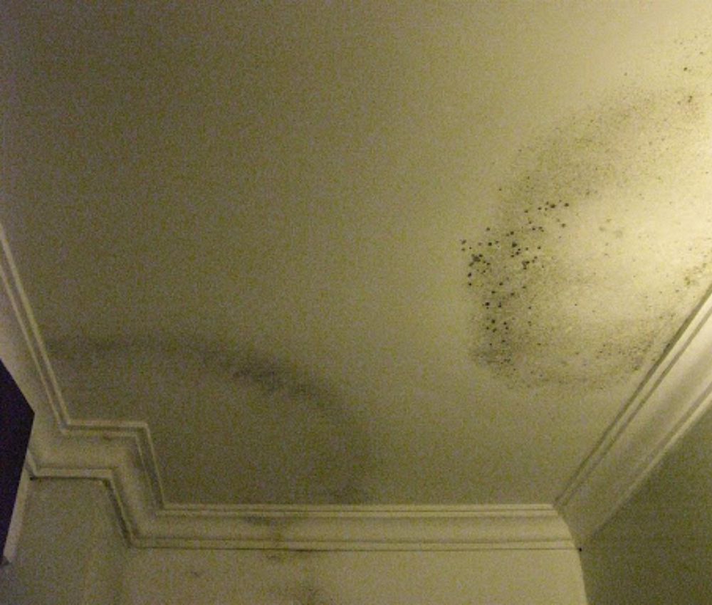 Trần nhà đổ mồ hôi xuất phát từ nhiều nguyên nhân khác nhau